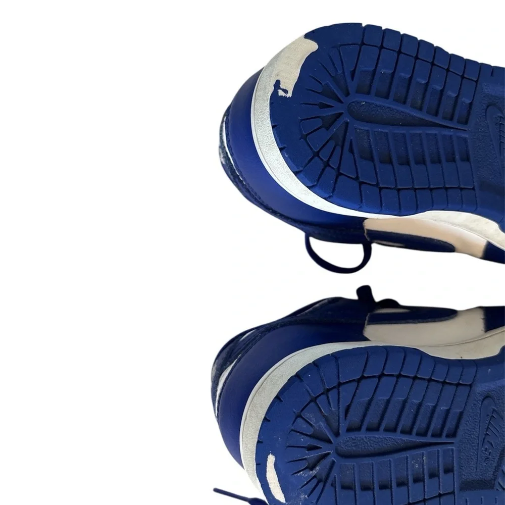 Nike Dunk Low Retro SP Kentucky 2020